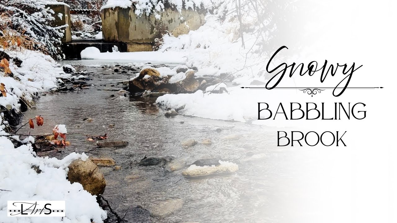 The Perfect Escape ❄️ 1 Hour of Pure Peace | Snowy Winter Brook Sounds