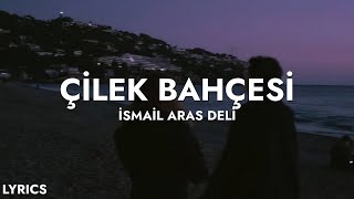 İsmail Aras Deli - Çilek Bahçesi (Sözleri) Resimi