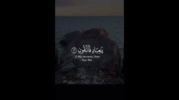 قراءة ما تيسر من سورة الزمر الشيخ ماهر المعيقلي