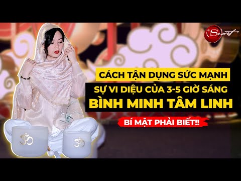 Video: Chó người không phải là người thường xuyên Internet của bạn. Đây là lý do tại sao.