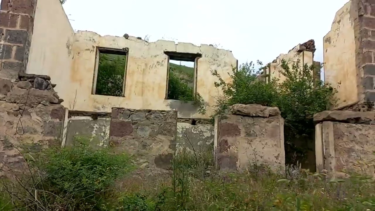 Lacin rayonu quscu kendi