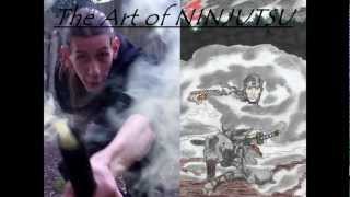 Ninja Art Slide Show