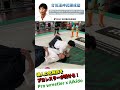A pro wrestling champion receives a very dangerous technique from an Aikido master