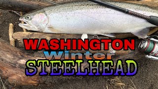 Washington Winter STEELHEAD 4K