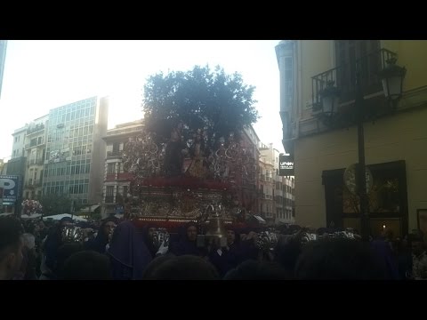Pontificia, Muy Ilustre y Venerable Archicofradía Sacramental y Seráfica de Nuestro Padre Jesús Orando en el Huerto, Nuestra Señora de la Concepción, San Juan Evangelista y Nuestra Señora de la Oliva