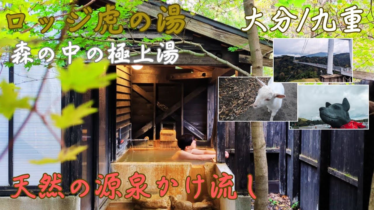 源泉かけ流しの、森の中の極上湯