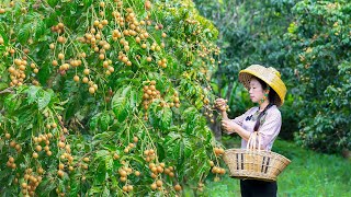 Use chinese wampi fruits to make delicious Chinese food黃皮拿來當水果還是做菜，很多人都搞不清楚，教你黃皮的正確吃法|野小妹 wild girl