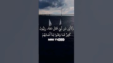ماهر المعيقلي - سورة آل عمران ( برواية حفص عن عاصم ) الأية 146