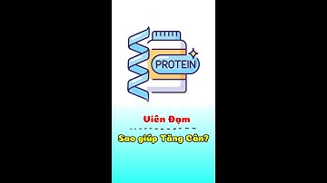 Viên Đạm Tăng Cân? Xạo Xạo Quen Thói! | Minh Triết