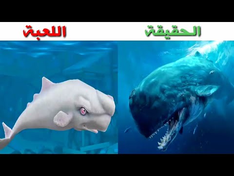 فيديو: وصف قلعة 