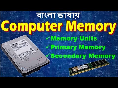 ভিডিও: প্রাইমারি মেমরি ও সেকেন্ডারি মেমরি কিসের উদাহরণ দাও?