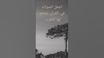 تلاوة هادئه تفيض جمالاً 💚القران الكريم💚 أرح بها بالك ومسمعك القارئ عبدالرحمن الدلالي 😔🎧❤️