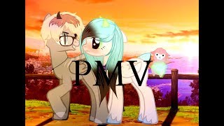 PMV-- Я полюбила бандита PMV-- Я полюбила бандита
