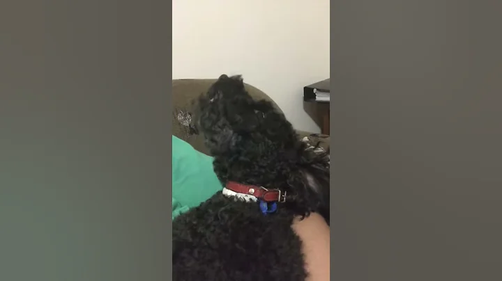 Is he happy or does he want me to shut up - talkin...