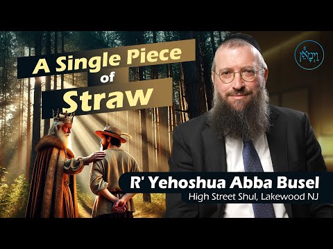 A Single Piece of Straw | Rabbi Yehoshua Abba Busel