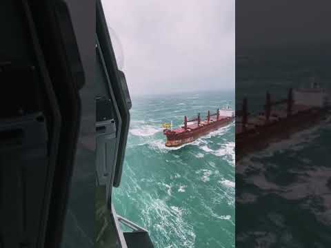 فيديو: هل يمكن لطفل السقوط في البحر على متن سفينة سياحية؟