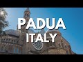 Padua: Boring Art or Stunning Beauty? | TE Destinations 2