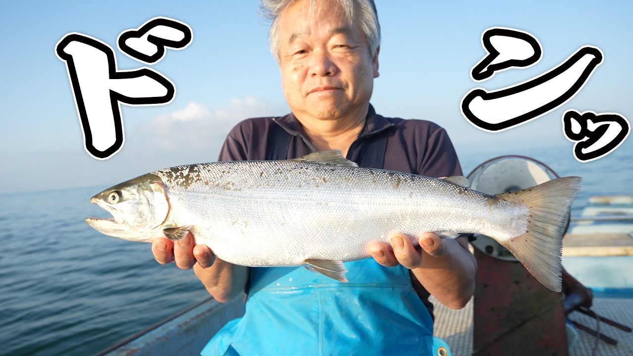 【淡水魚】ビワマスを漁で捕まえてすぐ捌いてくれるお店「舟倉」のビワマス漁