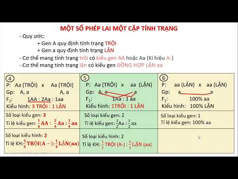 Video: Tỉ lệ thế hệ f1 là bao nhiêu?