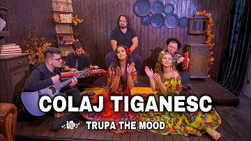 Trupa The Mood - Dicta Mamo 🌹 Muro Shavo | Colaj Tiganesc | Balkanic | Muzica De Petrecere