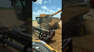 Wheat Demo  Lexion 740TT Challenger MT743