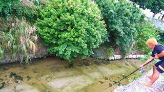 この水路にいる魚はゴミで釣れる【男3人貧乏釣り生活#1】