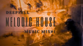 Melodic House Deepsell Music Mix #1 #Anjunadeep #Deephouse  #Melodichouse #Musicmix #Deep #Pexels