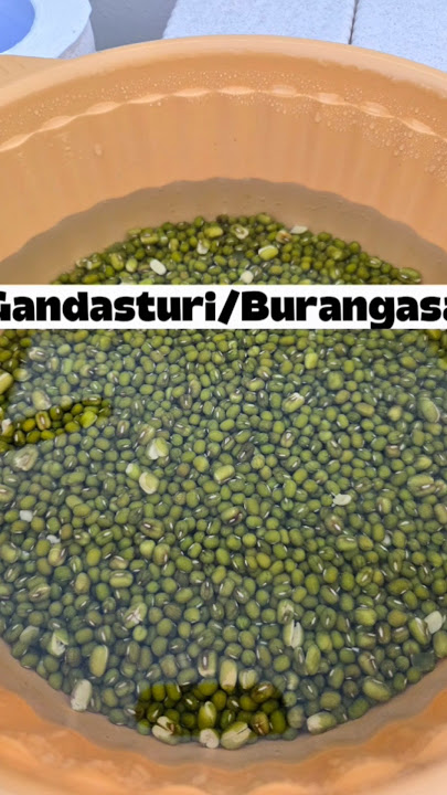 Karena jajanan ini udah langka, cocok untuk ide jualan😍 #kuetradisional #gandasturi #trending