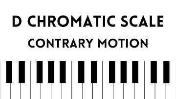 D Chromatic Scale I Contrary Motion I Correct Fingering I For Piano and Keyboard