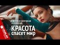 Красота спасёт Мир. Системно-векторная психология. Юрий Бурлан