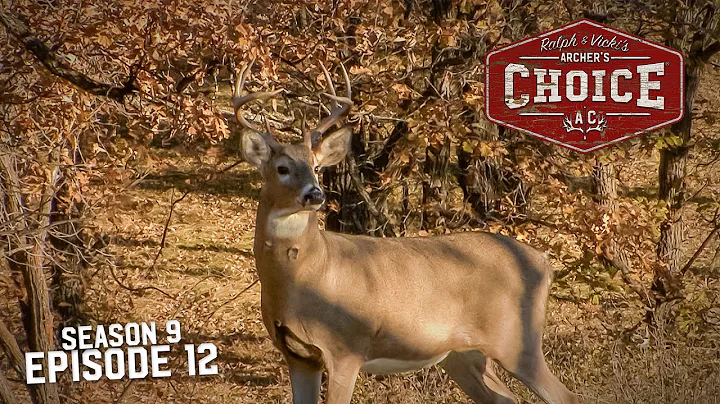 Archer's Choice - YOU BETCHA BUCKS 'N DUCKS // S9: Episode 12