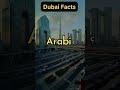 Which Is The Official Language Of Dubai Which Is The Official Language Of Dubai