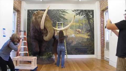 Watch: A hyperlapse video of the mastodon