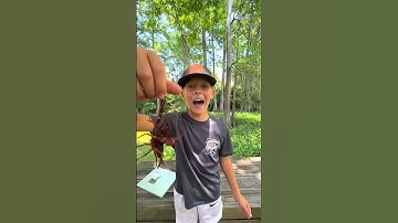 3 WAYS TO HOLD A CRAWFISH 🦞🤏 #crawfish #fishing #crawfishboil #louisiana