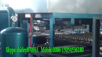 small egg tray machine with single layer dryer