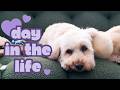 A day in the life of Zola | Episode 1 | The Zola Diaries