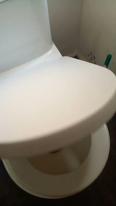 Ular besar...di dalam toilet 🚽 ...... tidak dapat dipercaya..... 💯 periksa sebelum digunakan