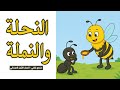 لغتي صف أول ابتدائي درس النحلة والنملة لغتي صف أول ابتدائي درس النحلة والنملة