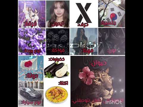نزلت التنين وقالولي اي واحد احلى