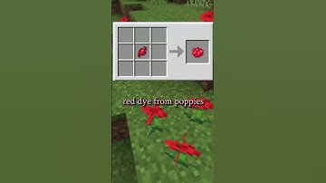 How To Dye Sheep in Minecraft #Shorts