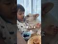 3歳児が触ると怒ってしまう犬でも唯一この時だけは逆らえない… #shorts #保護犬 #フレンチブルドッグ