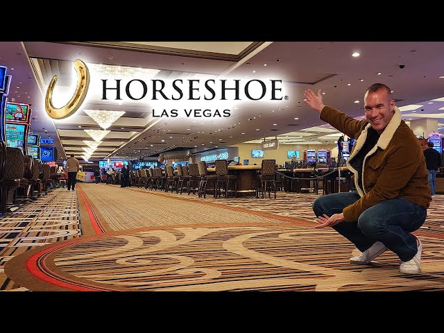 Horseshoe Las Vegas in Las Vegas: Find Hotel Reviews, Rooms, and Prices on