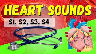 Heart Sounds Made Easy  S1, S2, S3, S4 and Murmurs (Systolic and Diastolic)