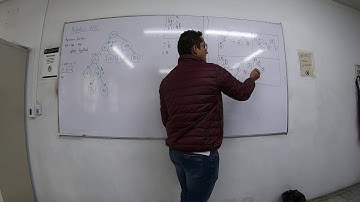 Árboles AVL - Parte 3