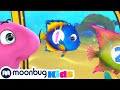 Old McDugong Counting on the Bus | The Sharksons | Animals for Kids | Animal Cartoons