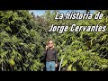 La historia de jorge cervantes  el rey de reyes 