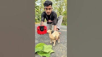 Brand New Rc Camel Unboxing Video 🐪 || Saidul Toy Review ||