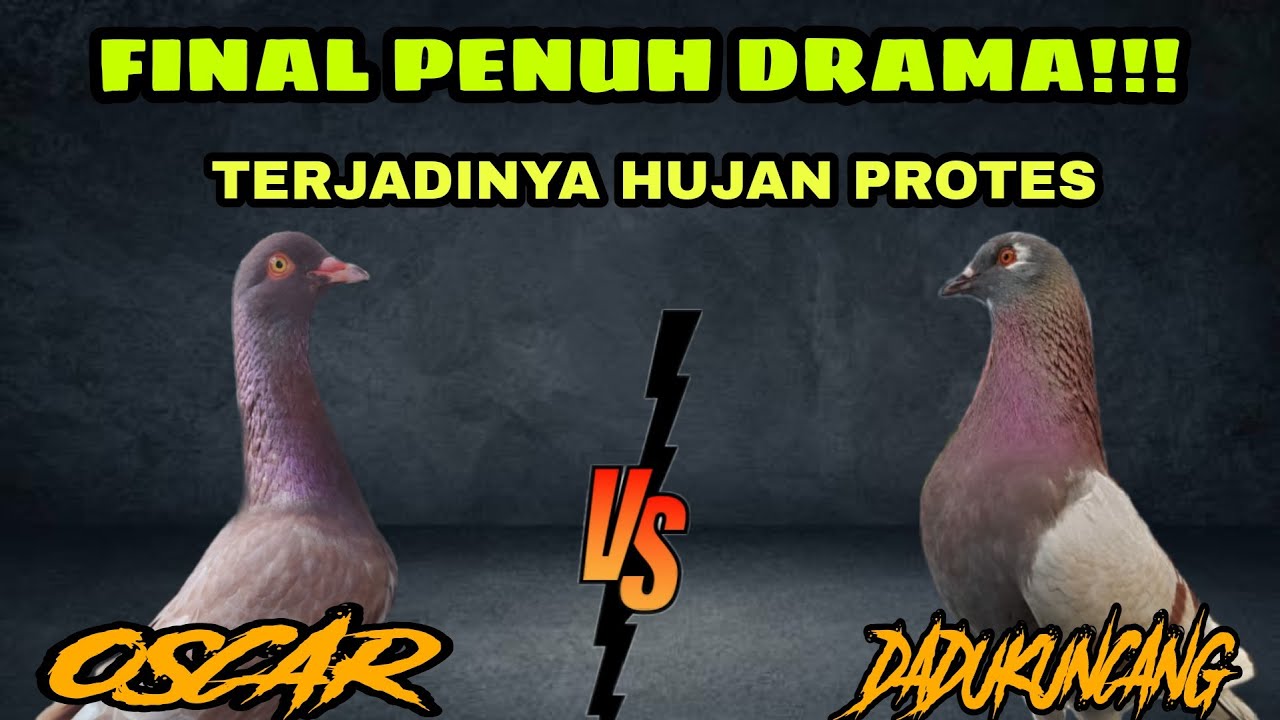 FINAL PENUH DRAMA!!! Terjadi hujan protes | pra lomba 1 event new ayla lapak sukosari palembang