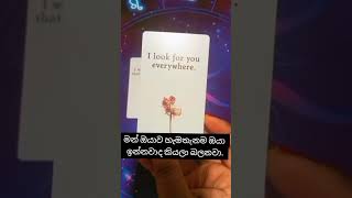 #tarot #viral #fpyy #fortuneteller#