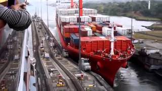 Panama Canal Ship Accident - Towing Mule Crushed